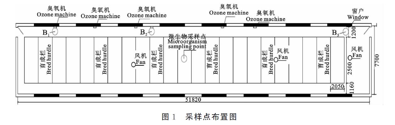 臭氧机放猪舍进行臭氧消毒会不会对猪有影响(图1)