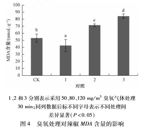 臭氧对辣椒种子萌发及生理指标的影响